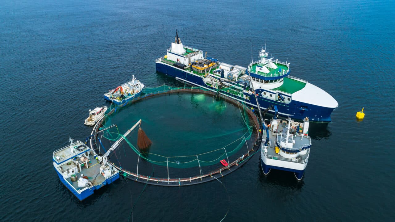Salmon fish farm in fjord. Norway, Bergen.